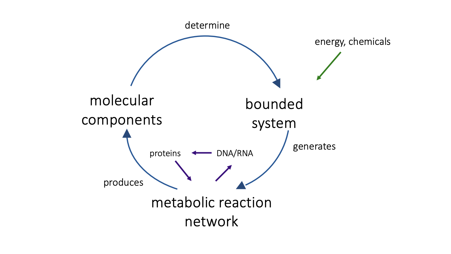 Biologic as self-specifying